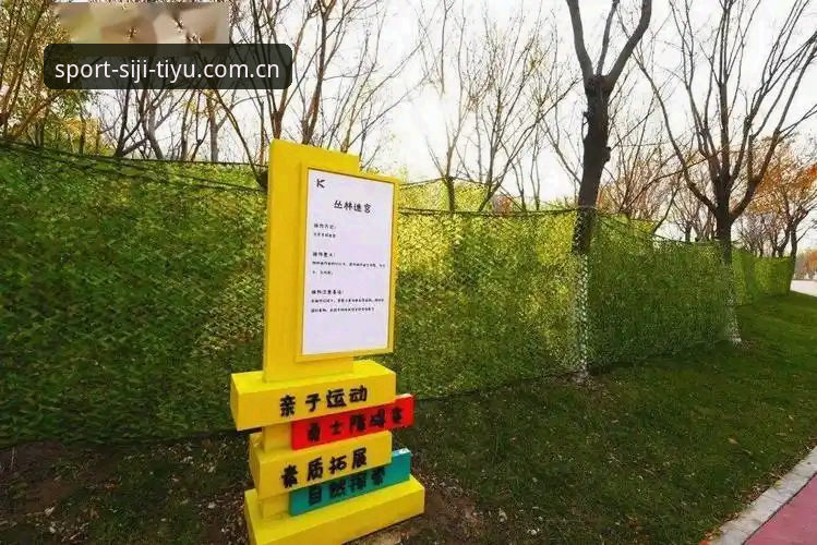 四季体育高效体验下载失败解决指南：从问题诊断到完美安装的完整方案